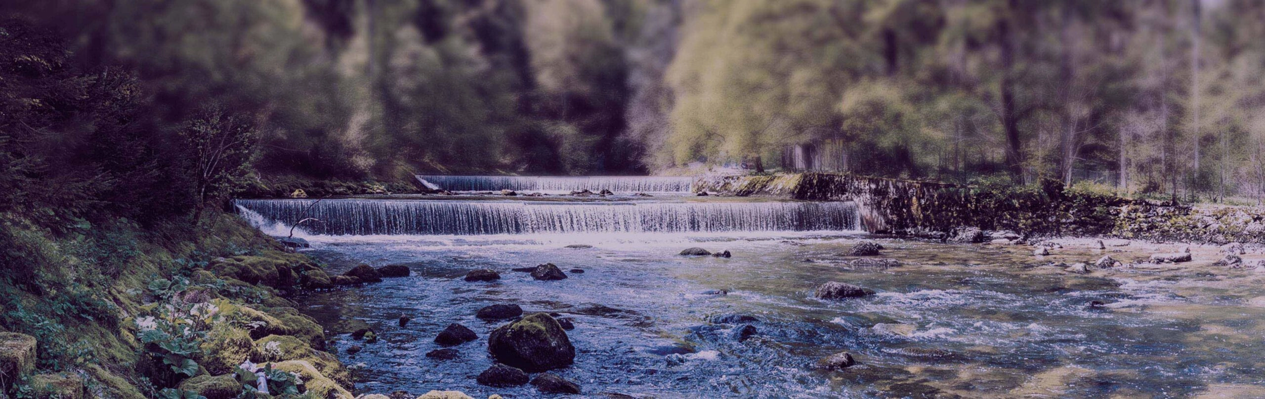 Engagements RSE pressing illustrés par un paysage naturel avec rivière et forêt